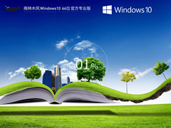 雨林木风 Windows10 64位 经典装机版